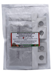 Slow Release Sachets – Amblyseius andersoni – Predatory Spider Mite Control
