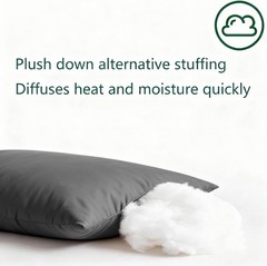 Flat Ultra Thin Bed Pillows Standard/Queen Size Pillow Set of 2 Extra Soft Down