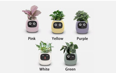 Ai Smart Planter Smart Plant Care Pot Ai Chips 7 Sensors 49 Expressions