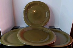 World Market Sage Rimmed 10.3”Squircle Dinner Plates Made In Portugal (Set Of 4)