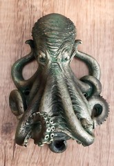 Colossal Sea Monster Cephalopod Octopus Kraken Beer Soda Wall Bottle Opener