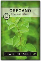 Fragrant Oregano Seeds for Indoor/Outdoor Gardening – Germinates in 7-14 Days