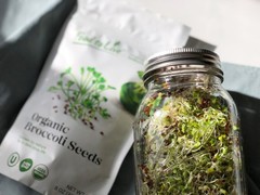 Organic Broccoli Seeds for Sprouting – Non-GMO, Kosher, Raw – by Food To Live