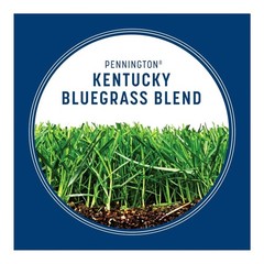 Kentucky Bluegrass Northern Grass Seed Mix, Sun Light to Partial Shade, 3 lb Bag