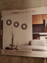 Willow Springs Round 11 R11 3pc Round Wall Mirror Set 10.3in Black Framed
