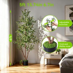NOVAROOT 6FT Tall Olive Trees Artificial Indoor Faux Natural Wood Trunk Lifeli