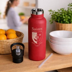 16oz Stainless Steel Insulated Water Bottle with Straw Lid Leakproof Travel Gym