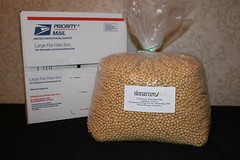 Signature Soy NON-GMO Soybeans for Natto 1.5, 13 or 20 lbs Grown in ND & MN