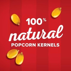 Orville Redenbacher’S Gourmet Popcorn Kernels, Original Yellow, 8 Lb