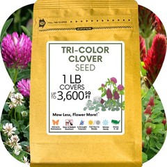 Flawn Seed Kits Tri-Color Clover Seed, Equal Mix 3 Clovers, Flowering Lawn