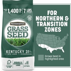Pennington Kentucky 31 Tall Fescue Grass Seed Sun to Partial Shade 7- 20 lb Bag