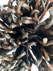 Organic FairTrade Madagascar Vanilla Beans Whole Grade A Pods – Benefits Charity