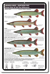 Tin Signs Vintage Style Fishing Art Freshwater Musky Pike Chart Cabin Picture