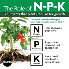 Water Soluble All Purpose Plant Food, for All Plant Types, 5 Lbs.