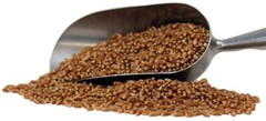 Organic Hard Red Wheat Berries – 3lbs