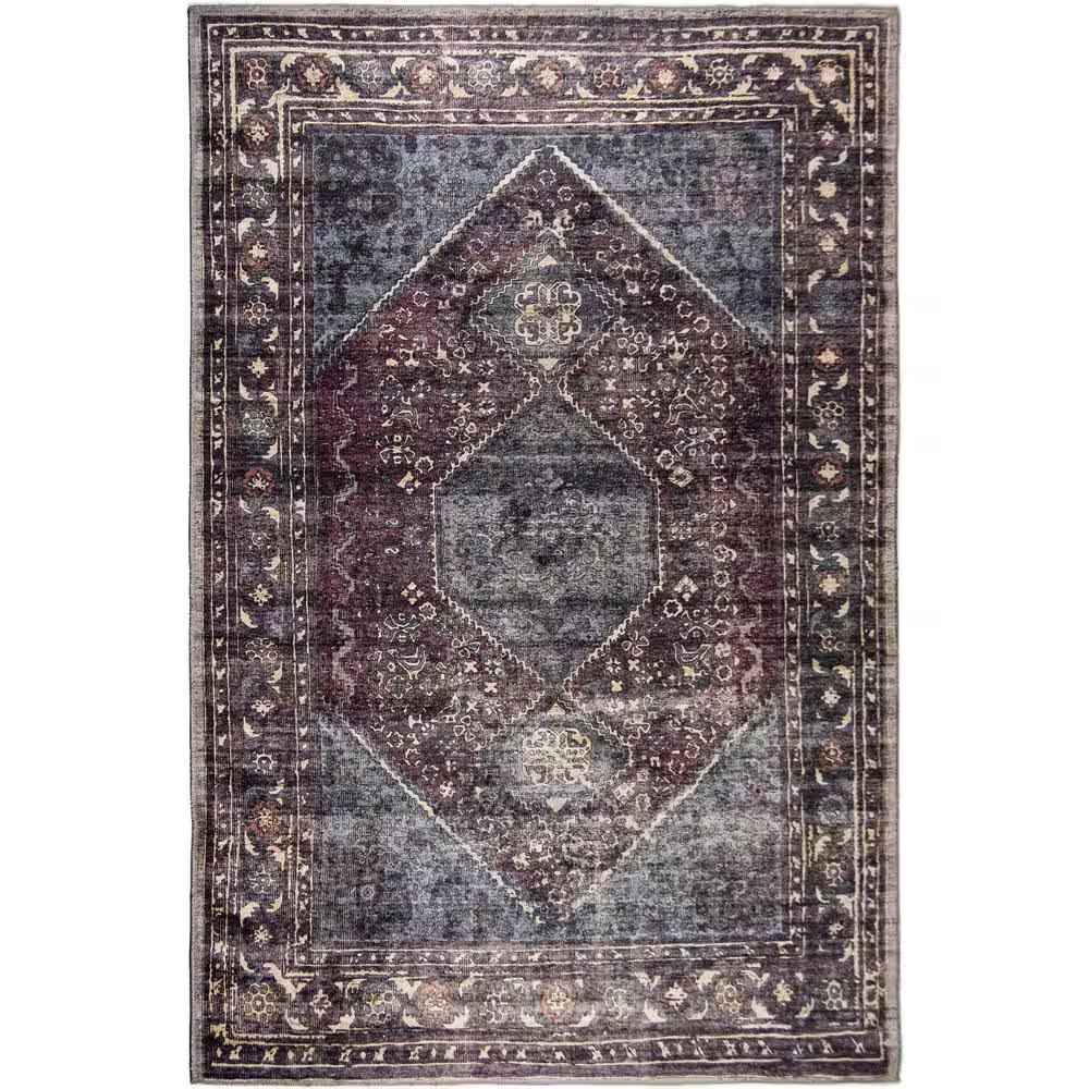Irene Multicolor Distressed Washable 2 Ft. X 3 Ft. Scatter Rug