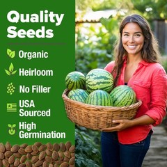 Organic Watermelon Seeds Non-GMO Heirloom for Home Gardens – Citrullus lanatus