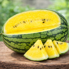 25 Mountain Sweet Yellow Watermelon Seeds – High Sugar Content Heirloom 15-25LBs