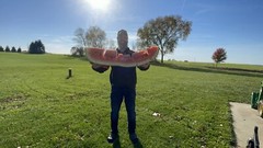 222 Lb Giant Watermelon. $25For 5 Seeds. Free Shipping Worldwide!!