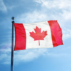 Canadian Flag Canada National Flag Polyester Fiber 3×5 Feet Bright Colors And An