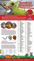 Live Beneficial Nematodes Hb+Sc+Sf – Kills over 200 Different Species of Soil Dw