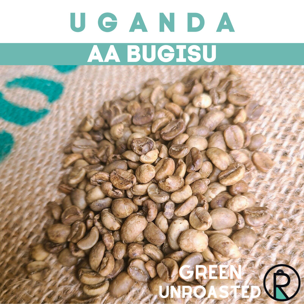 Uganda AA Bugisu Coffee Beans – Unroasted – Green
