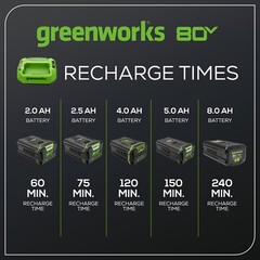 Greenworks 80V 2A Standard Charger GCH8020 – Refurished
