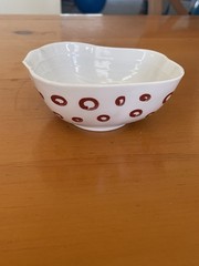 Ceramic Ramen Bowl Set Noodle with Lid Not Available In The US Look!