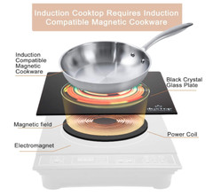 Duxtop 1800W Portable Induction Cooktop Countertop Burner, Silver 8120MC/BT-180G
