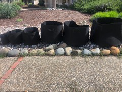 1/5/10/20/30/45/50-400 Gallon Fabric Grow Bags, planter, Fabric Pot, Black/Tan