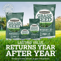 Kentucky 31 Tall Fescue Grass Seeds for Lawn, for Sun to Partial Shade, 7 Lb