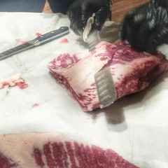 12 Inch Slicer Carving Brisket meat Knife NSF TESTED PRODIGY SERIES by Ergo Chef