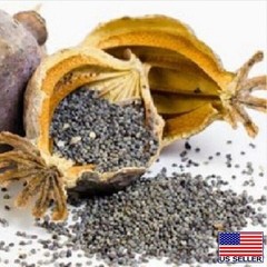 Turkish P Somniferum Poppy Seeds For Planting 20,000+ Fresh, Imported, Untreated