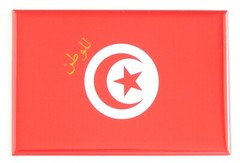 Flag of Tunisia FRIDGE MAGNET