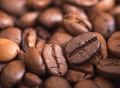 BRAZILIAN YELLOW BOURBON COFFEE BEANS PEABERRY MEDIUM ROASTED 2 POUNDS