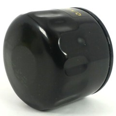 John Deere, Oil Filters, GY20577 – AM125424 (2 Filters as Shown)