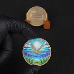 1-12 Months Sobriety Coin – AA Chip Sober Medallion and Prayer in Recovery
