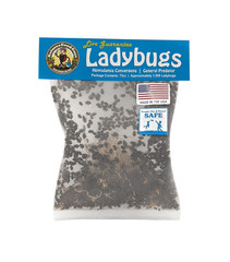 NaturesGoodGuys – Live Ladybugs – General predators