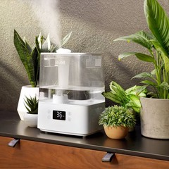 Levoit Classic 300 Ultrasonic Smart Humidifier White