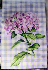WILLIAMS SONOMA HYDRANGEA GINGHAM NAPKINS 100% COTTON TWILL SET OF 4 FOUR NWTAG