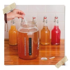 Fermentaholics Organic Kombucha SCOBY with Twelve Ounces of Starter Tea