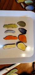 2026 Mango Turmeric Rhizomes For Planting – FREE Shipping