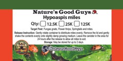 NaturesGoodGuys Hypoaspis miles aka Stratiolaelaps scimitis Fungas Gnat Control