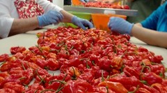 100 Carolina Reaper Chili Pepper Seeds World Record Hot Peppers Vegetables Seed