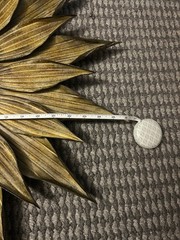Pier 1 Sunburst Sunflower Metal Wall Mirror 26.5″ Bronze Tone
