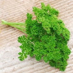 Forest Green Parsley Seeds | Heirloom / Non-GMO | Free Shipping | Herb Seed 1132