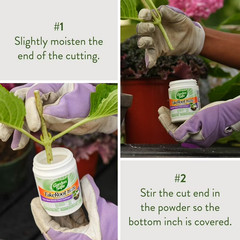 Garden Safe Take Root Rooting Hormone Powder, Grow New Plants from Cuttings, 2 O