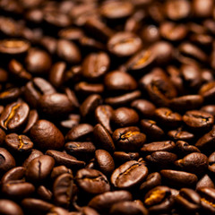 Guatemalan Huehuetenango Coffee Beans Medium Roasted 2 Pounds