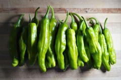 20 SHISHITO PEPPER SEEDS ~ heirloomseedguy ~ 2026 ~ NON-GMO