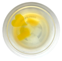 Japan Jelly Bourbon After Meal 0kcal Jelly Mikan Flavor 138g × 12 cups